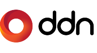 DDN Logo